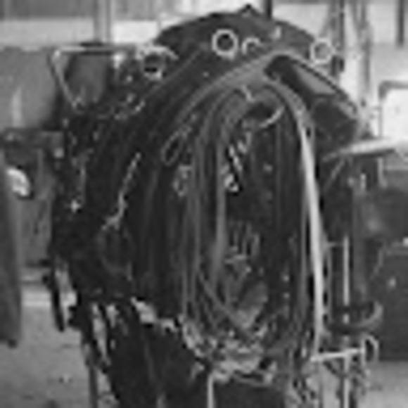 Meet your Posher, Liz - Picture 1 of 1